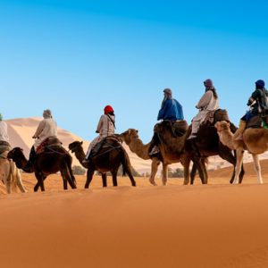 camel-tour-1_571x364