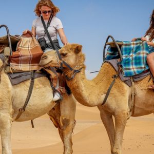camel-tour_571x364